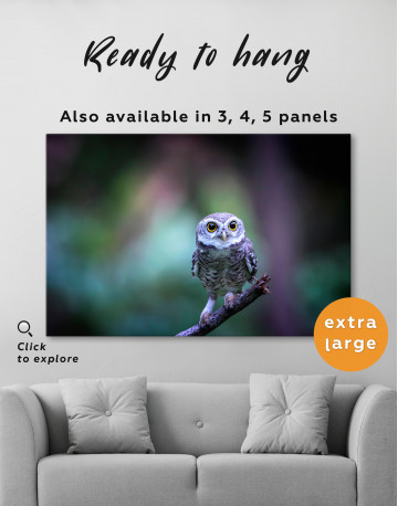Cute Owl on Branch Canvas Wall Art - image 5