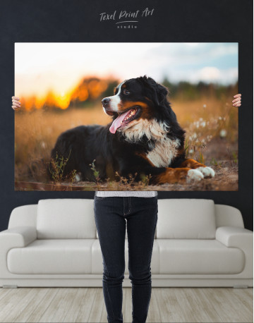 Bernese Mountain Dog in Field Canvas Wall Art - image 8