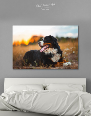 Bernese Mountain Dog in Field Canvas Wall Art - image 7