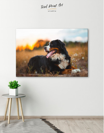 Bernese Mountain Dog in Field Canvas Wall Art - image 6