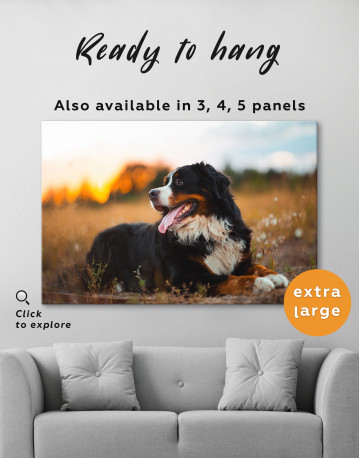 Bernese Mountain Dog in Field Canvas Wall Art - image 5
