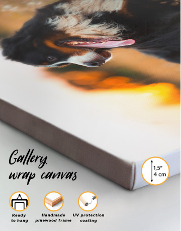 Bernese Mountain Dog in Field Canvas Wall Art - image 2