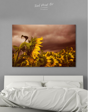 Sunflower Before the Storm Canvas Wall Art - image 9