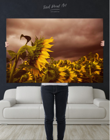 Sunflower Before the Storm Canvas Wall Art - image 2