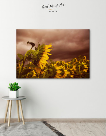 Sunflower Before the Storm Canvas Wall Art - image 1