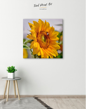 Sunflower with Bee Canvas Wall Art