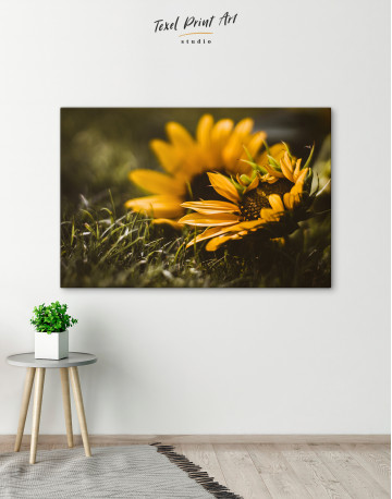 Sunflower at Grass Canvas Wall Art - image 4