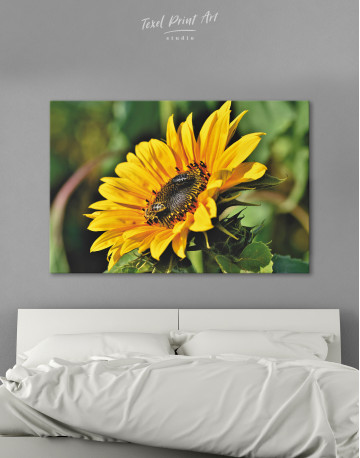 Yellow Blooming Sunflower Canvas Wall Art - image 9