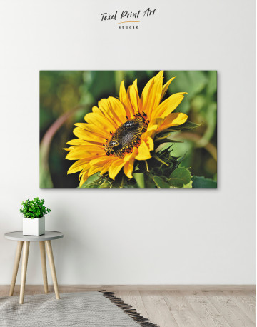 Yellow Blooming Sunflower Canvas Wall Art - image 1