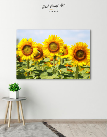 Sunflowers at Sky Canvas Wall Art - image 8