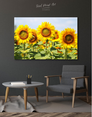 Sunflowers at Sky Canvas Wall Art - image 6