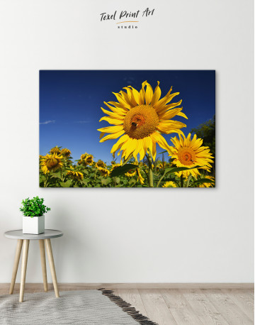 Sunflower at Field Canvas Wall Art - image 7