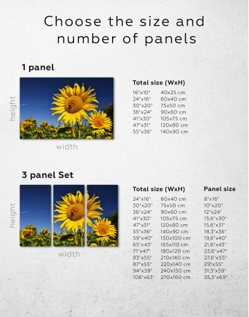 Sunflower at Field Canvas Wall Art - image 1