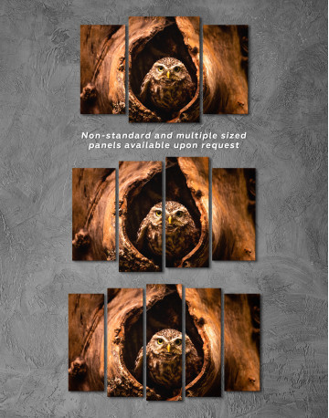 Owl in Tree Hollow Canvas Wall Art - image 2