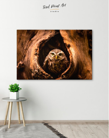 Owl in Tree Hollow Canvas Wall Art - image 8