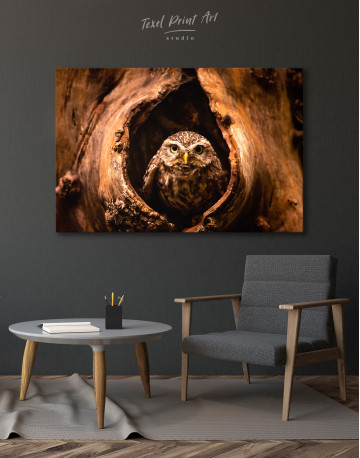 Owl in Tree Hollow Canvas Wall Art