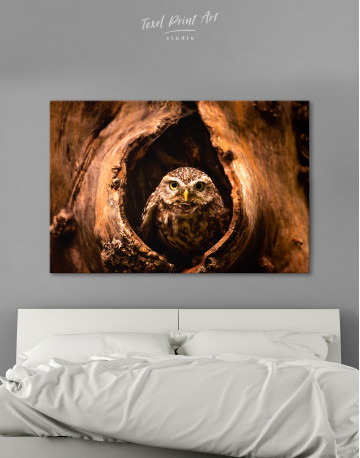 Owl in Tree Hollow Canvas Wall Art - image 5