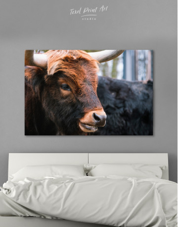 Farm Bull Canvas Wall Art - image 3