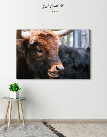 Farm Bull Canvas Wall Art - image 4