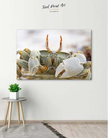 Horned Ghost Crab Canvas Wall Art - image 5